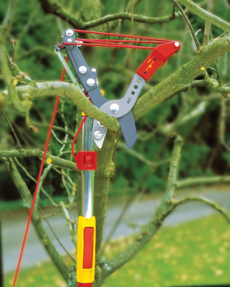 Profesjonalny dwuostrzowy sekator do drzew RR-VM